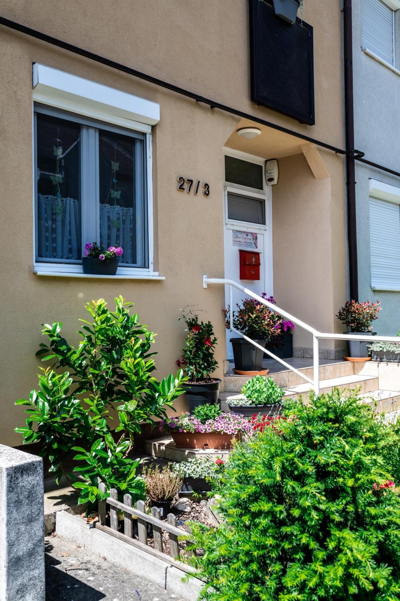 Flower Apartment ヘーヴィーズ エクステリア 写真